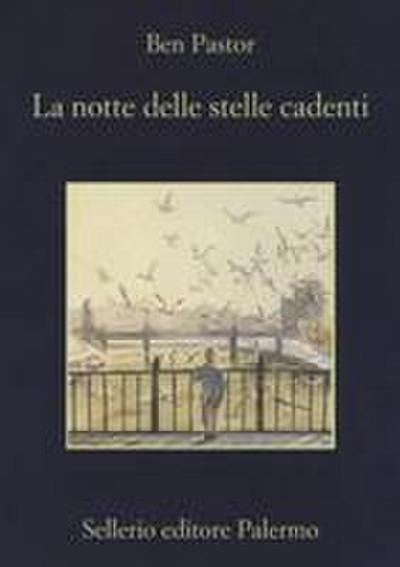 La notte delle stelle cadenti