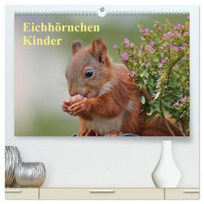 Eichhörnchen Kinder (hochwertiger Premium Wandkalender 2026 DIN A2 quer), Kunstdruck in Hochglanz