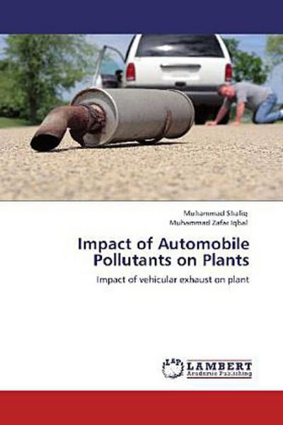 Impact of Automobile Pollutants on Plants