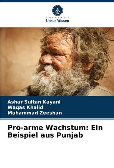 Pro-arme Wachstum: Ein Beispiel aus Punjab