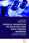 EPITHELIAL MIGRATION IN THE ATELECTATIC PARS TENSA