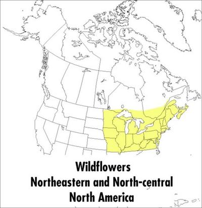 A Peterson Field Guide to Wildflowers