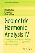 Geometric Harmonic Analysis IV