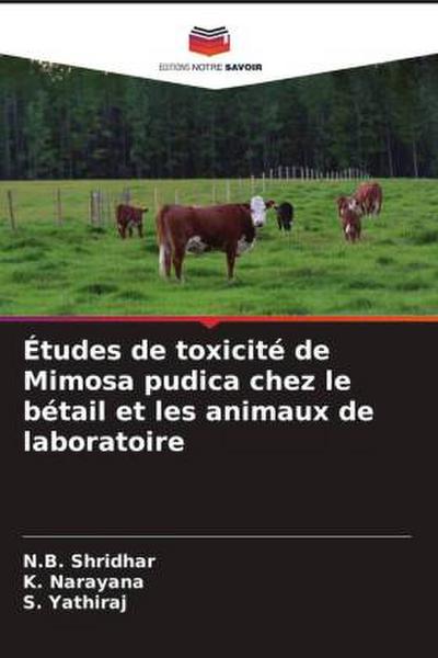 Études de toxicité de Mimosa pudica chez le bétail et les animaux de laboratoire