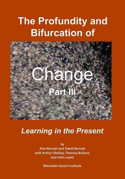 The Profundity and Bifurcation of Change Part III