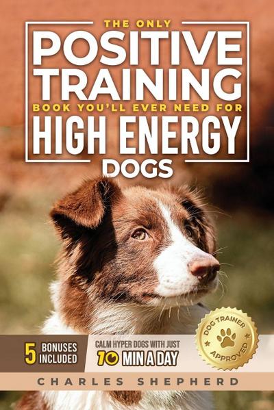 The Only Positive Training Book You’ll Ever Need for High-Energy Dogs