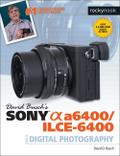 David Busch’s Sony Alpha A6400/Ilce-6400 Guide to Digital Photography