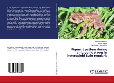 Pigment pattern during embryonic stages in heteroploid Bufo regularis
