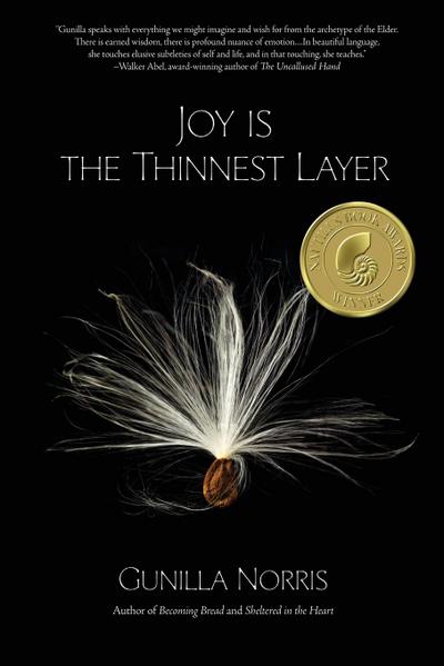Norris, G: Joy Is the Thinnest Layer