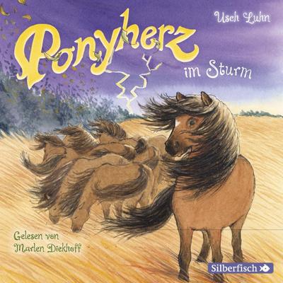 Ponyherz im Sturm,1 Audio-CD