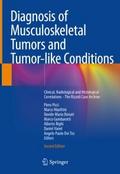 Diagnosis of Musculoskeletal Tumors and Tumor-like