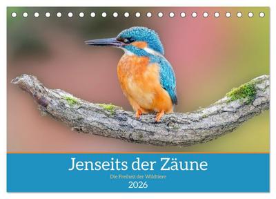 Jenseits der Zäune (Tischkalender 2026 DIN A5 quer), CALVENDO Monatskalender