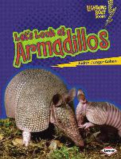 Let’s Look at Armadillos