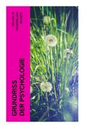 Grundriss der Psychologie