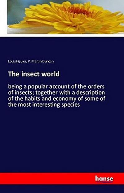 The insect world