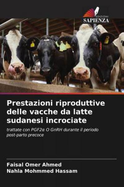 Prestazioni riproduttive delle vacche da latte sudanesi incrociate