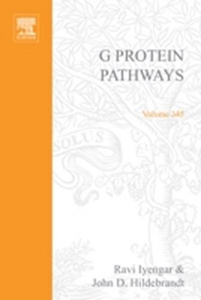 G Protein Pathways, Part C: Effector Mechanisms