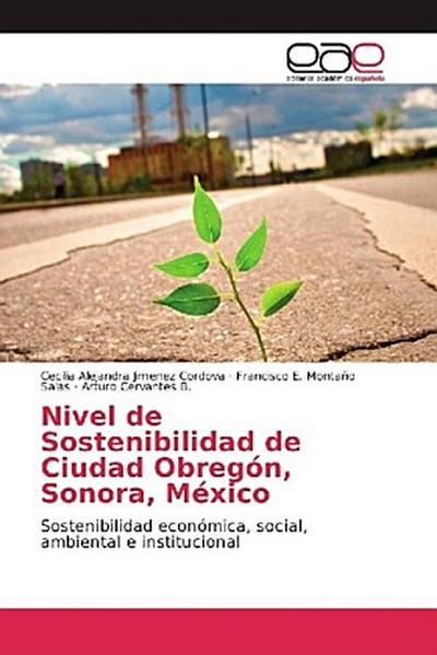 Nivel de Sostenibilidad de Ciudad Obregón, Sonora, México