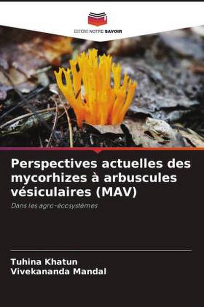 Perspectives actuelles des mycorhizes à arbuscules vésiculaires (MAV)