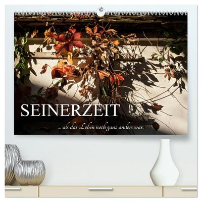 Seinerzeit (hochwertiger Premium Wandkalender 2024 DIN A2 quer), Kunstdruck in Hochglanz