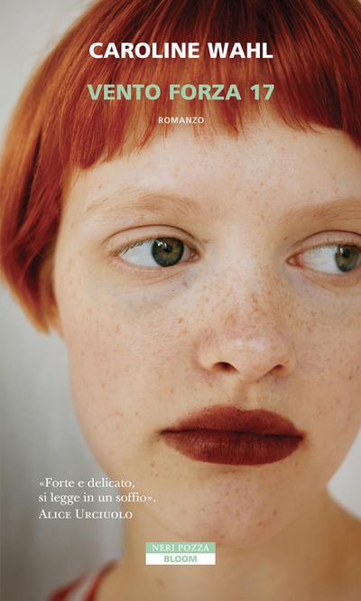 Vento forza 17