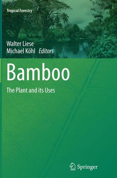 Bamboo