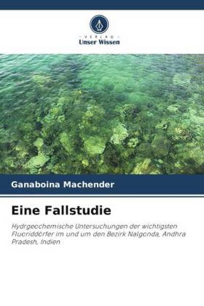 Eine Fallstudie