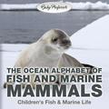 The Ocean Alphabet of Fish and Marine Mammals | Children’s Fish & Marine Life