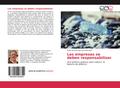 Las empresas se deben responsabilizar
