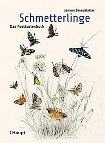 Schmetterlinge - Das Postkartenbuch