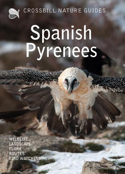 Crossbill Nature Guide Spanish Pyrenees