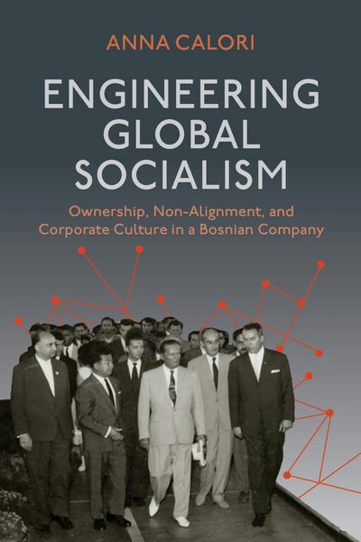 Engineering Global Socialism