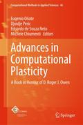 Advances in Computational Plasticity