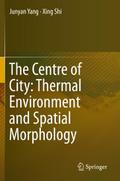 The Centre of City: Thermal Environment and Spatial Morphology