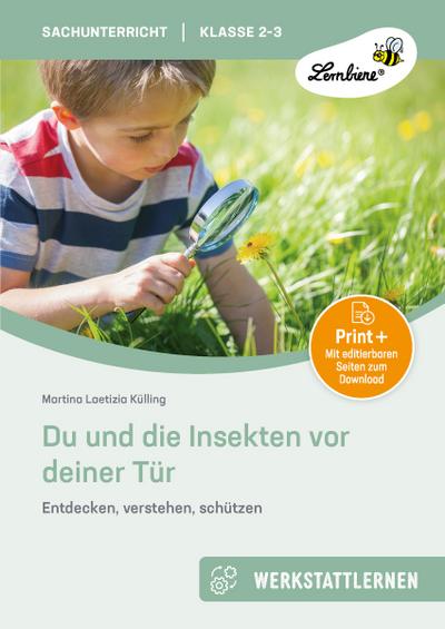 Du und die Insekten vor deiner Tür