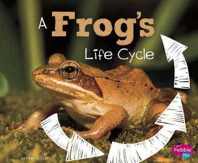 A Frog’s Life Cycle