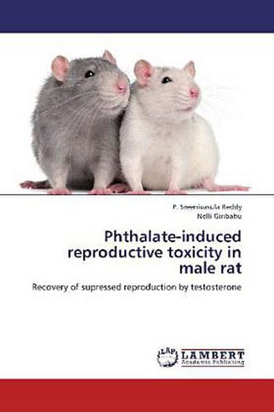 Phthalate-induced reproductive toxicity in male rat