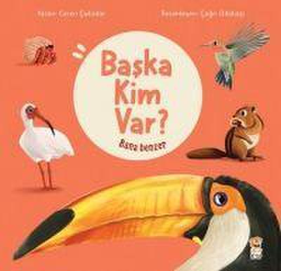 Bana Benzer - Baska Kim Var
