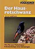 Der Hausrotschwanz