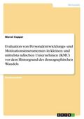 Evaluation von Personalentwicklungs- und Motivatio