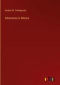 Adventures in Silence