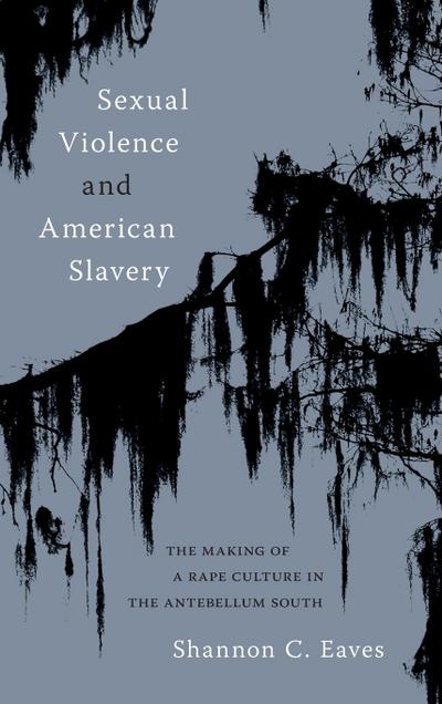 Sexual Violence and American Slavery