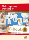 Mein Lapbook: Der Körper