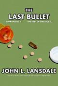 Slow Bullet II