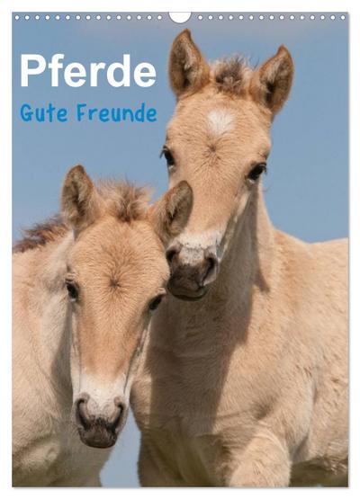 Pferde Gute Freunde (Wandkalender 2024 DIN A3 hoch), CALVENDO Monatskalender