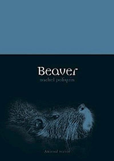 Beaver