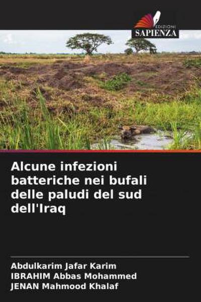 Alcune infezioni batteriche nei bufali delle paludi del sud dell’Iraq