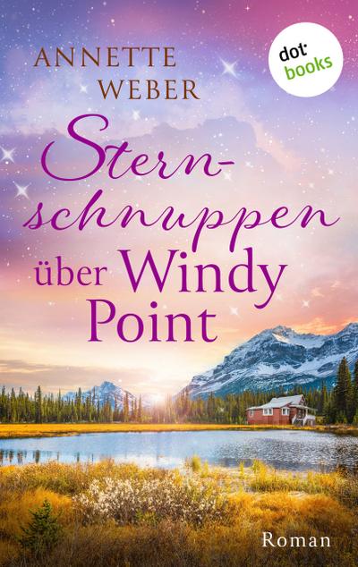 Sternschnuppen über Windy Point