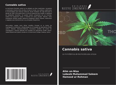 Cannabis sativa