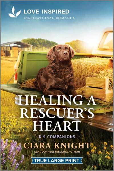 Healing a Rescuer’s Heart
